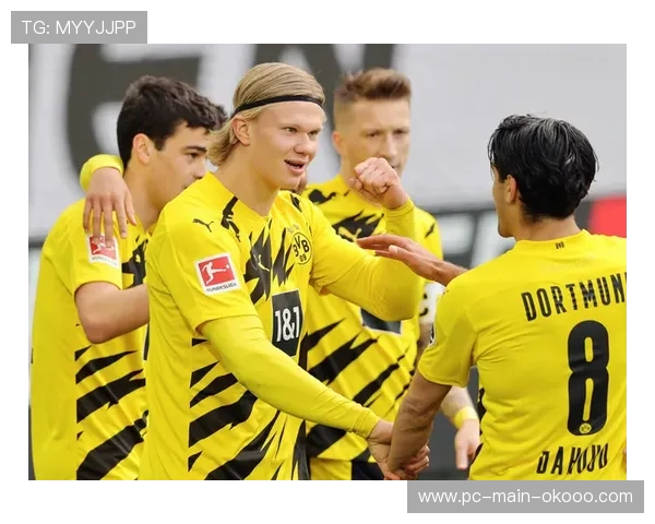 海登海姆尼许斯梅开二度，一度反超多特蒙德